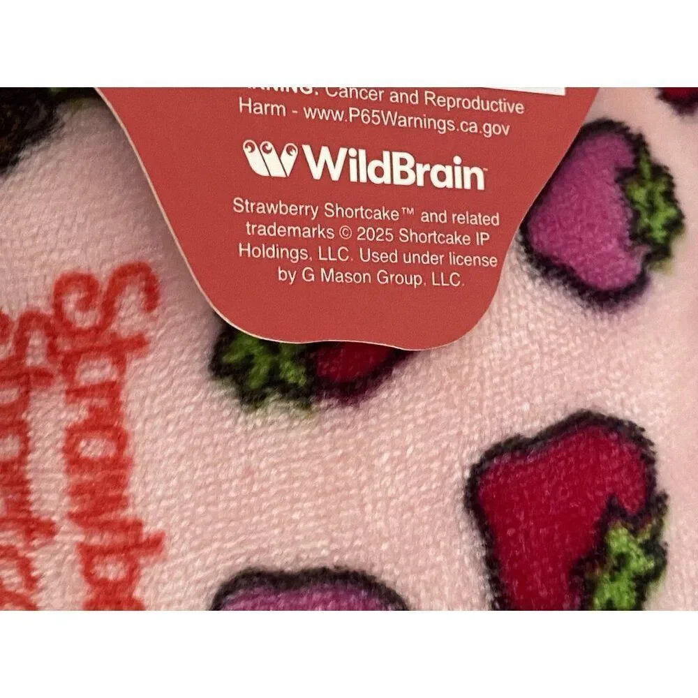 Strawberry Shortcake Dog Cat Pet Cuddler Bed 20 X 16 X 6”‎ Pink Soft Velvet NEW